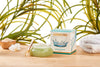 Addicted Beauty Algae Peel Off Mask